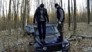 Дубовый лес/Oak-tree forest