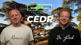 [7/12] Cedr - 𝗯𝗶𝗼𝘁𝗲chn𝗼𝗹𝗼𝗴𝗶𝗮 - o roślinach w Biblii 🌱