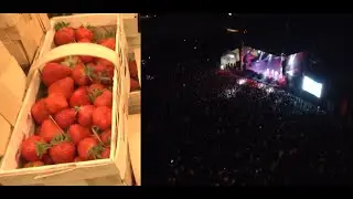 Ważne dla Gminy Buczek | 7. Krajowe Święto Truskawki