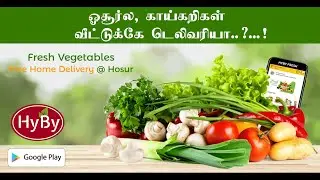HyBy : Fresh Vegetables and Groceries Delivery App