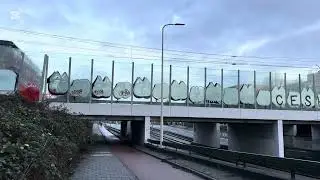 The first day of our one- hour walk from Leidschendam to maruove 