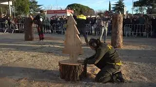 SS26: Exhibició de feines forestals 