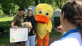 Duckling Day Parade returns to Boston Common