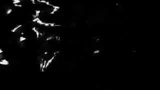 Capillary
