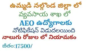 AEO Nalgonda district notification/AEO Recruitment jobs 2020/AEO JOBS IN TELANGANA