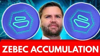 Раскрыта тайна накопления активов в сети Zebec