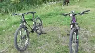 GT Aggressor vs GT Avalance