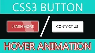 CSS Button Hover Animation | CSS3 Animations |