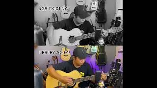 PERBANDINGAN KARAKTER GITAR AKUSTIK JGS TX-01 NA & LESLEY AC-01