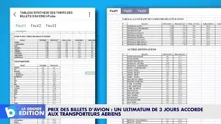 Prix des billets d&rsquo;avion: Un ultimatum de 3 jours accord&eacute; aux transporteurs a&eacute;riens