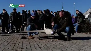 Varese - Decolla da Calcinate un aereo progettato dal Ponti