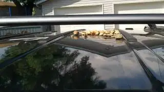 Bass Roof flex