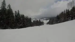 Pr&ouml;ller   Nordhang 2