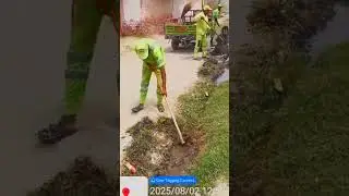 Mianwali Saaf Hogaya 💪 | Suthra Punjab in Action! 🧹✨ SWMC Mianwali