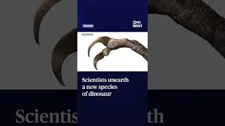 Scientists unearth a new species of dinosaur