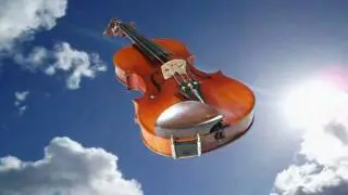 Sonic Violins - Electro Acoustic Violins