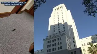 VIDEO: Rat scurries through part of LA City Hall amid typhus issue | ABC7