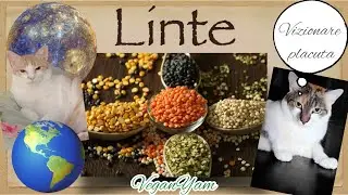 Despre LINTE