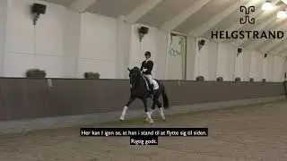Helgstrand Stallion - Suarez  præsentation 2020