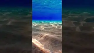 The underwater of Faliraki Bay is full of beautiful sand ready for you to enjoy! Rhodos Greece!