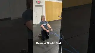 Reverse Nordic Curl