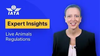 Expert Insights: Enhancing Business Efficiency & Compliance with IATA&rsquo;s LAR Manual