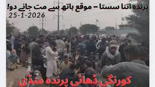 Korangi dhai bird market latest update🦜||Sunday Bird market korangi Karachi
