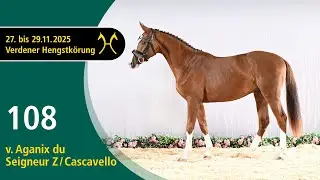 No. 108 Stallion by Aganix du Seigneur Z - Cascavello | Verden Stallion Licensing 2025 - Nov. 28/29