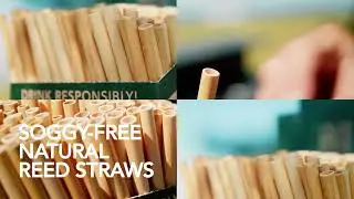 Reedest Cocktail Reed Straws for High-ball Glass