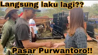 PASAR PURWANTORO!! DEK YAYA JUAL SAPI BARU TURUN DARI MOBIL LANGSUNG LAKU LAGI !!!