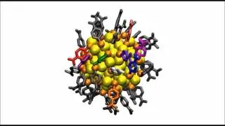 Conformation and dynamics of the ligand shell of a water-soluble Au102 nanoparticle
