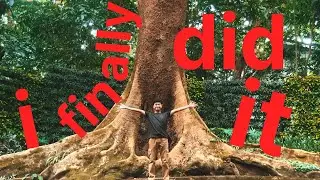 my first solo trip, la mesa eco park