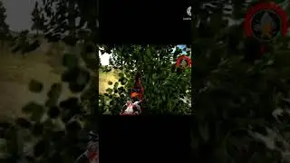 duke 390 live accident