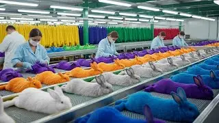 Inside the Rabbit Fur Factory - How Rabbit Fur Becomes Luxury Shoes, Bags | FULL PROCESS