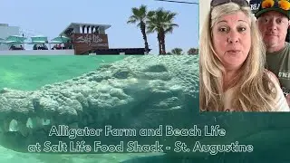 Alligator Farm and Beach Life at Salt Life Food Shack   St  Augustine