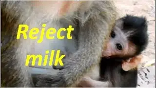 Pitiful | mom Daisy reject milk baby Dax while he is much Hungry