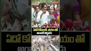 ఏదో కోపంలో భయం తో అంబటి తిట్టాడు..Jagan Press Meet | Ambati | CM Chandrababu | Mahaa News