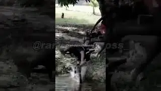 VIDEO LUCU ANAK KECIL MAIN SEPEDA JATUH MASUK PARIT: NGAKAK SAMPAI TIDAK BISA BERHENTI | #memes