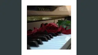 Velvet Keys