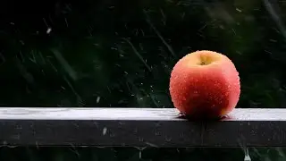 Soothing Piano Music with Rain Sound | Relaxing Music | Beautiful Nature | Relaxing Soundscapes