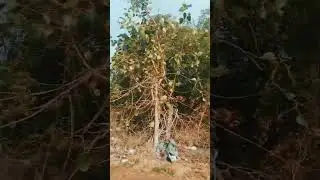 oh my god it's not good for river#karur#nature hazard#tamil#futuregeneration