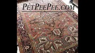 Cleaning Antique Persian Rug from PetPeePee-