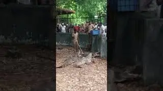 vandalor zoo visit