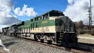 NS 8099 Southern Heritage unit on an intermodal in High Point, NC