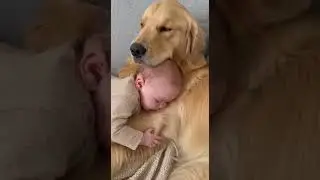 Dog Hugs Baby: The Ultimate Fluff Cuddle Puddle! 🥰