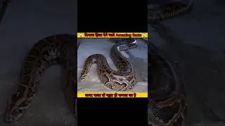 😱5 Mind-blowing amazing facts||#shorts #facts