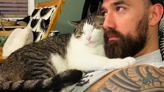 The Tuxedo Cat Who Ignored His Owner and Fell in Love With Her Boyfriend