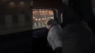 Rose the Labradoll&rsquo;s Epic Road Trip 🐾 | 