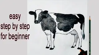 Realistic Cow Drawing | Easy Cow Sketch for Beginners | Step by Step Tutorial