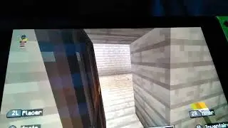 Sacha gaming Maincraft